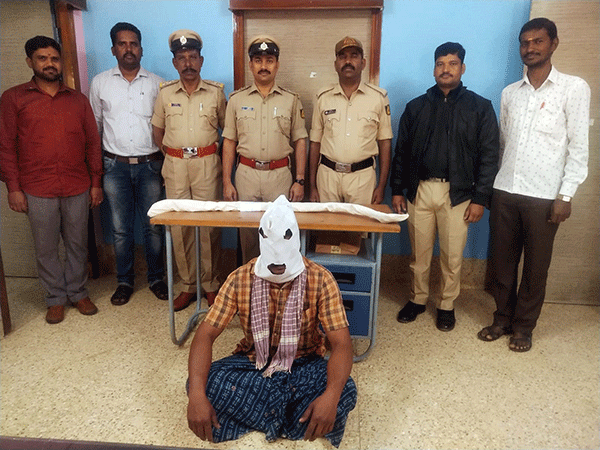 ಕೊತ್ತಂಬರಿ ಸೊಪ್ಪಿನ ಬೆಳೆ ಜೊತೆ ಗಾಂಜಾ ಗಿಡ ಬೆಳೆದ ಆರೋಪಿಯ ಬಂಧನ