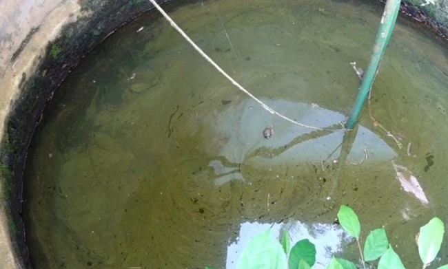 ಬಾವಿಗೆ ಬಿದ್ದು ಯುವಕ ಮೃತ್ಯು