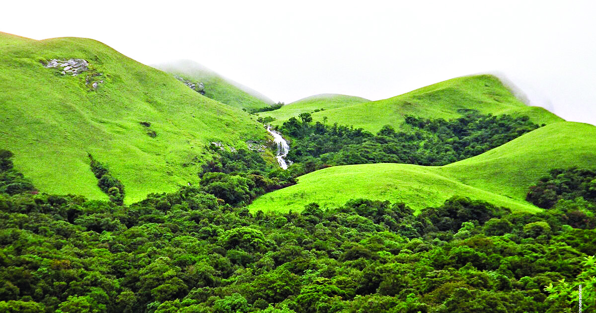 ಪಶ್ಚಿಮ ಘಟ್ಟ ಉಳಿವಿಗೆ ಆರು ಹೆಜ್ಜೆಗಳು