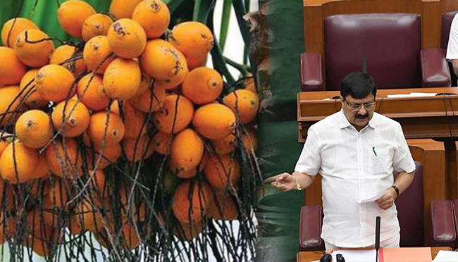 ಅಡಿಕೆ ಬೆಳೆ ಭವಿಷ್ಯ ಇನ್ನಷ್ಟು ಪಾತಾಳಕ್ಕೆ: ಸಚಿವ ಆರಗ ಜ್ಞಾನೇಂದ್ರ ಎಚ್ಚರಿಕೆ