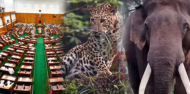 ಚಂದಮಾಮದಲ್ಲಿ ಇಂತಹ ಕತೆ ಬರುತ್ತಿತ್ತು...: ಚಿರತೆ, ಆನೆ ದಾಳಿ ವಿಧಾನಸಭೆಯಲ್ಲಿ ಪ್ರತಿಧ್ವನಿ