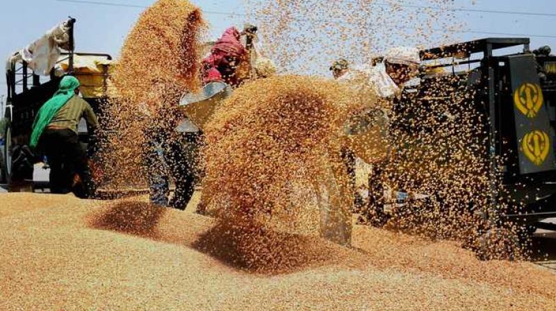 ಇನ್ನೂ ಒಂದು ವರ್ಷ ಉಚಿತ ಆಹಾರ ಧಾನ್ಯಗಳ ವಿತರಣೆ ವಿಸ್ತರಣೆಗೆ ಕೇಂದ್ರ ಸಚಿವ ಸಂಪುಟ ಅನುಮೋದನೆ