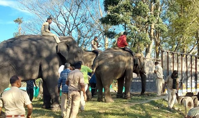 ಕೊಡಗಿನ ದುಬಾರೆ ಶಿಬಿರದ 5 ಸಾಕಾನೆಗಳು ಮಧ್ಯಪ್ರದೇಶಕ್ಕೆ ಸ್ಥಳಾಂತರ