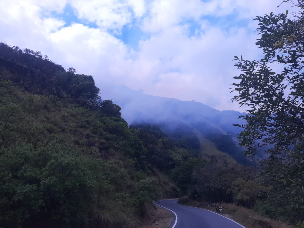 ಚಾರ್ಮಾಡಿ ಘಾಟಿ ವ್ಯಾಪ್ತಿಯ ಅರಣ್ಯಕ್ಕೆ ಬೆಂಕಿ: ಅಪಾರ ಪ್ರಮಾಣದ ಅರಣ್ಯ ನಾಶ ಚಾರ್ಮಾಡಿ ಘಾಟಿ ವ್ಯಾಪ್ತಿಯ ಅರಣ್ಯಕ್ಕೆ ಬೆಂಕಿ: ಅಪಾರ ಪ್ರಮಾಣದ ಅರಣ್ಯ ನಾಶ