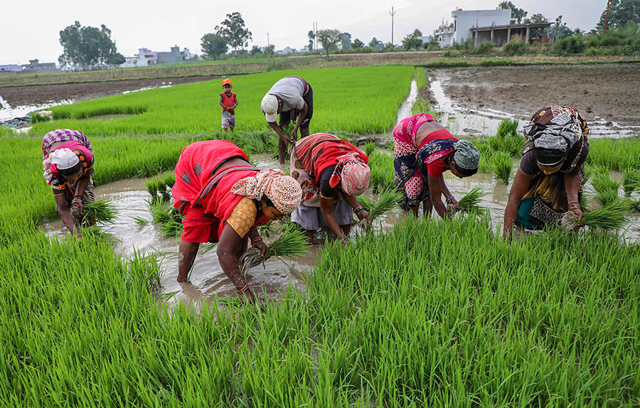 ಅಕ್ರಮ-ಸಕ್ರಮ ಯೋಜನೆಯಡಿ 68 ಸಾವಿರ ರೈತರ ಪಂಪ್‍ಸೆಟ್‍ಗಳಿಗೆ ವಿದ್ಯುತ್ ಸಂಪರ್ಕ: ಸಚಿವ ಸುನಿಲ್ ಕುಮಾರ್