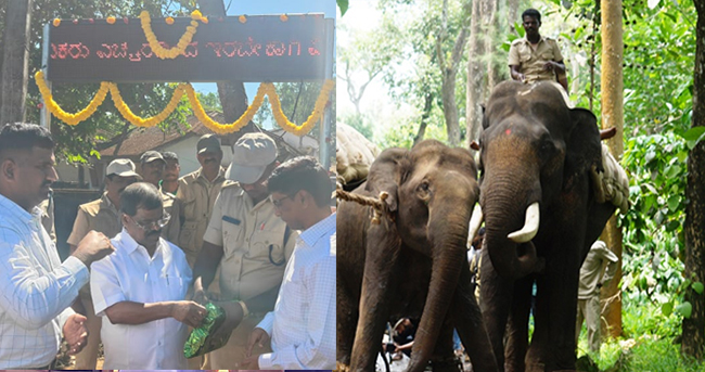 ಕಾಫಿನಾಡಿನಲ್ಲಿ ಕಾಡಾನೆ ಹಾವಳಿ ತಡೆಯಲು ಡಿಜಿಟಲ್ ಪ್ಲೆಕ್ಸ್, SMS ಸೇವೆ, ಸೋಲಾರ್ ಫೆನ್ಸಿಂಗ್, ರೇಡಿಯೊ ಕಾಲರ್ ಯೋಜನೆ