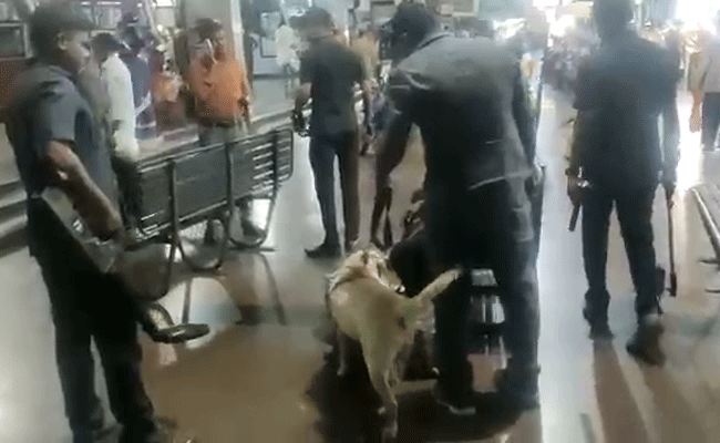 ಹೊಸ ವರ್ಷಾಚರಣೆ ಹಿನ್ನೆಲೆ: ಮಂಗಳೂರಿನಲ್ಲಿ ಬಾಂಬ್ ಪತ್ತೆದಳ ಸಹಿತ ಪೊಲೀಸರಿಂದ ತೀವ್ರ ತಪಾಸಣೆ