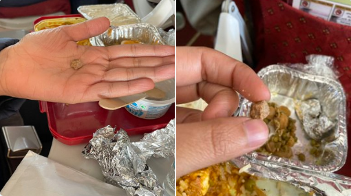 ಏರ್ ಇಂಡಿಯಾ ವಿಮಾನದಲ್ಲಿ ಮಹಿಳೆಗೆ ನೀಡಿದ್ದ ಊಟದಲ್ಲಿ ಕಲ್ಲು!