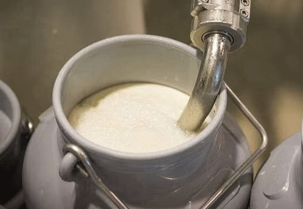 ದ.ಕ. ಜಿಲ್ಲೆ: ಹಾಲು ಉತ್ಪಾದಕರಿಗೆ 1 ರೂ. ವಿಶೇಷ ಪ್ರೋತ್ಸಾಹ ಧನ ಮುಂದುವರಿಕೆ