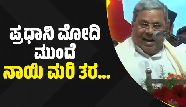 VIDEO ನೋಡಿ | ಮೋದಿ ಮುಂದೆ ಬೊಮ್ಮಾಯಿ ನಾಯಿ ಮರಿ ಥರ....: ಸಿದ್ದರಾಮಯ್ಯ ವಾಗ್ದಾಳಿ