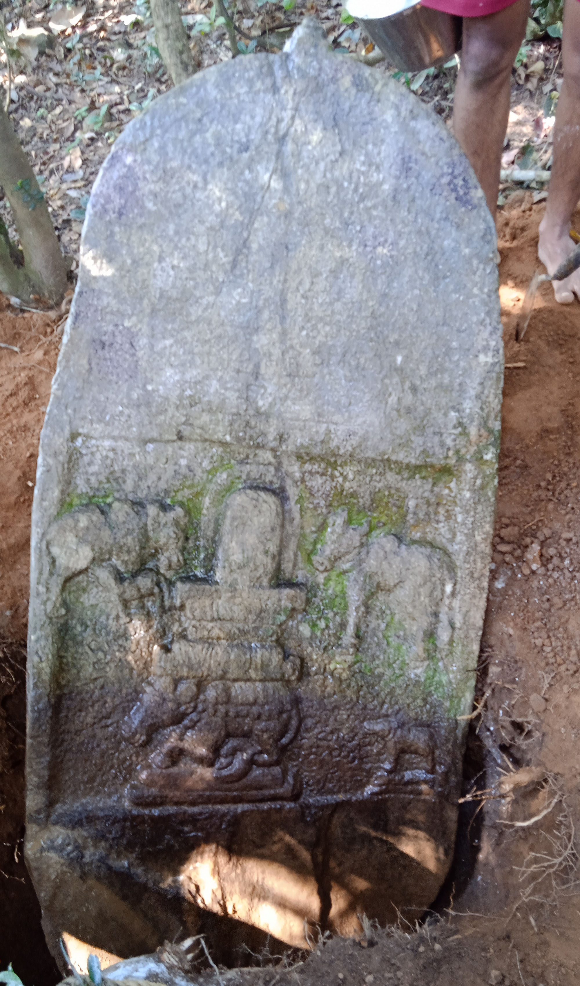 ಉಡುಪಿ: ಹಾಲಾಡಿಯ ಹುಯ್ಯಾರಿನಲ್ಲಿ ಅಪರೂಪದ ಶಿಲಾಶಾಸನ ಪತ್ತೆ