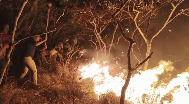 ಚಿಕ್ಕಮಗಳೂರು | 25 ಎಕರೆ ಕುರುಚಲು ಕಾಡು ಬೆಂಕಿಗಾಹುತಿ