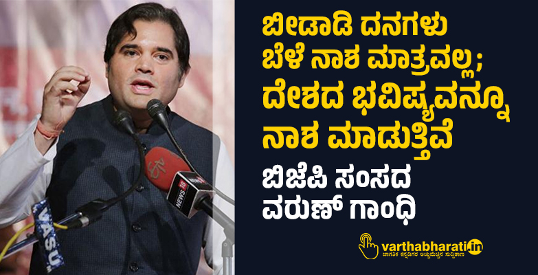ಬೀಡಾಡಿ ದನಗಳು ಬೆಳೆ ನಾಶ ಮಾತ್ರವಲ್ಲ; ದೇಶದ ಭವಿಷ್ಯವನ್ನೂ ನಾಶ ಮಾಡುತ್ತಿವೆ: ಬಿಜೆಪಿ ಸಂಸದ ವರುಣ್ ಗಾಂಧಿ