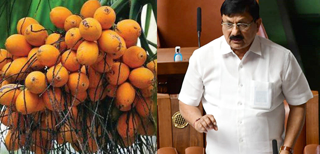 ಅಡಿಕೆ ಆರೋಗ್ಯಕ್ಕೆ ಹಾನಿಕಾರಕ ಅಲ್ಲ: ಗೃಹ ಸಚಿವ ಆರಗ ಜ್ಞಾನೇಂದ್ರ