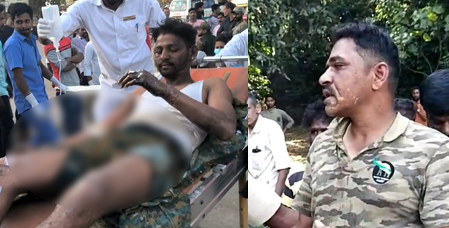 ಸಕಲೇಶಪುರ | ಕಾಡ್ಗಿಚ್ಚು ನಂದಿಸಲು ಹೋಗಿದ್ದ ನಾಲ್ವರು ಅರಣ್ಯ ಸಿಬ್ಬಂದಿಗೆ ತಗುಲಿದ ಬೆಂಕಿ; ಇಬ್ಬರಿಗೆ ಗಂಭೀರ ಗಾಯ