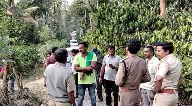 ದಕ್ಷಿಣ ಕೊಡಗಿನಲ್ಲಿ ಮತ್ತೆ ಹುಲಿ ಪ್ರತ್ಯಕ್ಷ: ಕಿರುಗೂರು ಗ್ರಾಮ ವ್ಯಾಪ್ತಿಯಲ್ಲಿ ಆತಂಕ