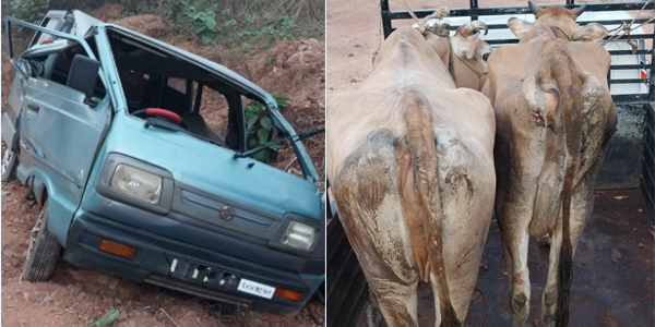 ವಿಟ್ಲ: ಜಾನುವಾರುಗಳನ್ನು ಅಕ್ರಮವಾಗಿ ಸಾಗಾಟ ಮಾಡುತ್ತಿದ್ದ ಕಾರು ಪಲ್ಟಿ