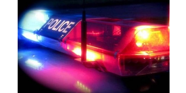 ಕಾಸರಗೋಡು: ವಿದ್ಯುತ್ ಕಂಬಕ್ಕೆ ಢಿಕ್ಕಿ ಹೊಡೆದು ಬೆಂಕಿಗಾಹುತಿಯಾದ ಪೊಲೀಸ್ ವಾಹನ