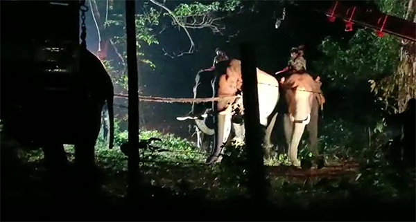 ಕಡಬ: ಕಾಡಾನೆ ಹಿಡಿದು ತೆರಳುತ್ತಿದ್ದ ಅರಣ್ಯ ಅಧಿಕಾರಿ, ಪೊಲೀಸರಿಗೆ ಕಿಡಿಗೇಡಿಗಳಿಂದ ಹಲ್ಲೆ