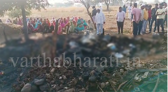 ವಿಜಯಪುರ| ಗುಡಿಸಲಿಗೆ ಆಕಸ್ಮಿಕ ಬೆಂಕಿ: ಇಬ್ಬರು ಸಜೀವ ದಹನ