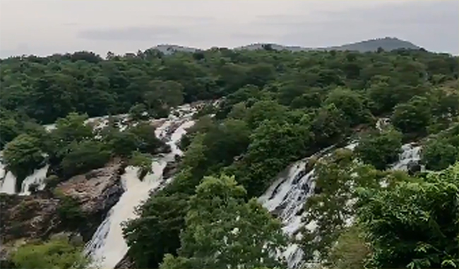 ಶಿಂಷಾ ಜಲಪಾತದ ಸುತ್ತಮುತ್ತಲಿನ ಜಮೀನು ಒತ್ತುವರಿ: ಸರಕಾರಕ್ಕೆ ಹೈಕೋರ್ಟ್ ನೋಟಿಸ್