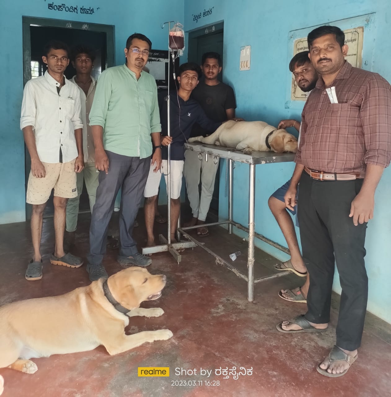 ಹಾವೇರಿ: ಗರ್ಭಿಣಿ ಶ್ವಾನಕ್ಕೆ ರಕ್ತದಾನ ಮಾಡಿದ ಮತ್ತೊಂದು ಶ್ವಾನ