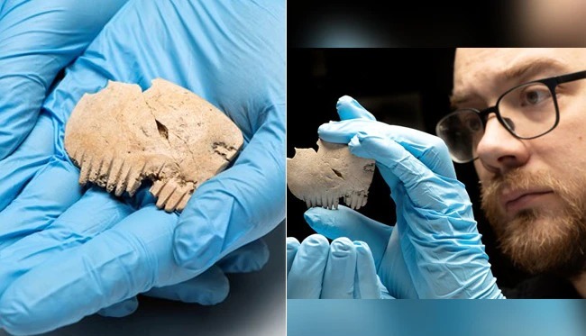 ಮಾನವನ ತಲೆಬುರುಡೆಯಿಂದ ಮಾಡಿದ‌ ಅತ್ಯಂತ ಅಪರೂಪದ ಬಾಚಣಿಗೆ ಪತ್ತೆ