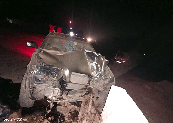 ನೆಲ್ಯಾಡಿ | ರಸ್ತೆ ಅಪಘಾತಕ್ಕೆ ಮಹಿಳೆ ಬಲಿ: ಇಬ್ಬರು ಗಂಭೀರ