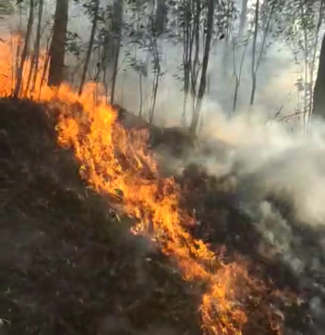 ವಿದ್ಯುತ್ ಶಾರ್ಟ್ ಸರ್ಕ್ಯೂಟ್‌: ಹೊತ್ತಿ ಉರಿದ ಗುಡ್ಡ