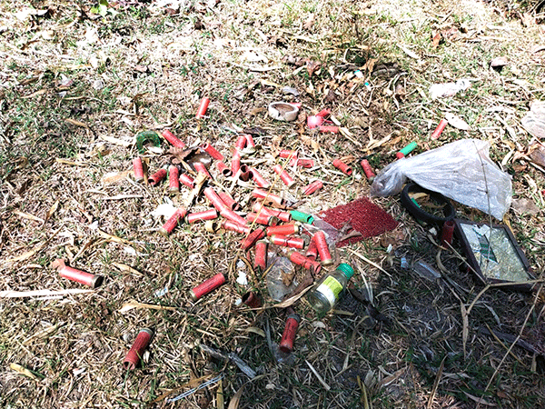 ಮೂಡಿಗೆರೆ | ಸಾರಗೋಡು-ತತ್ಕೋಳ ಮೀಸಲು ಅರಣ್ಯದ ರಸ್ತೆಯಲ್ಲಿ 60ಕ್ಕೂ ಅಧಿಕ ಖಾಲಿ ಕಾಟ್ರೇಜ್ ಗಳು ಪತ್ತೆ