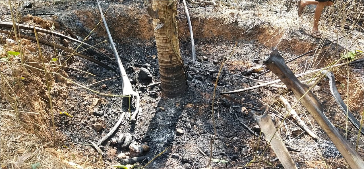 ಕುಂದಾಪುರ: ತೋಟಕ್ಕೆ ಬೆಂಕಿ; ಅಪಾರ ನಷ್ಟ