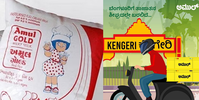 ‘ಅಮುಲ್’ ನೆಪದಲ್ಲಿ ಹೈನುಗಾರಿಕೆ ನಿರ್ಮೂಲನೆಗೆ ಸಂಚು: ಪ್ರಾಂತ ರೈತ ಸಂಘ