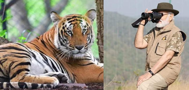 ಹುಲಿಗಳ ಮೇಲೆ ದೇಶದ್ರೋಹ ಪ್ರಕರಣ ದಾಖಲಿಸದಿದ್ದರೆ ಪುಣ್ಯ: ಬಿಜೆಪಿ ವಿರುದ್ಧ ಕಾಂಗ್ರೆಸ್‌ ವ್ಯಂಗ್ಯ