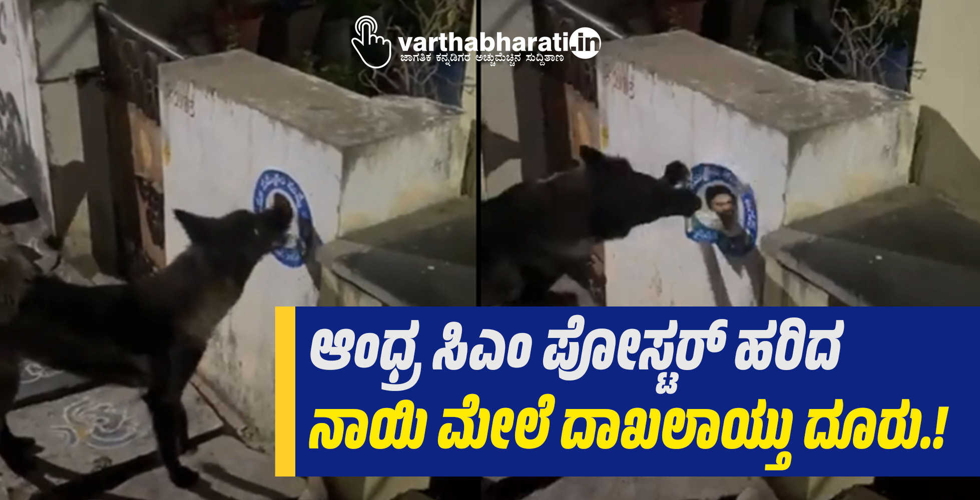 ಆಂಧ್ರ ಸಿಎಂ ಪೋಸ್ಟರ್ ಹರಿದ ನಾಯಿ ಮೇಲೆ ದಾಖಲಾಯ್ತು ದೂರು.!