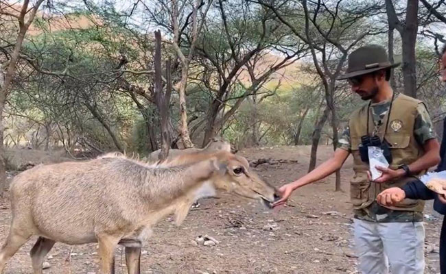 ಪ್ರಧಾನಿ ಮೋದಿಯಂತೆ ಉಡುಪು ಧರಿಸಿ ವನ್ಯಪ್ರಾಣಿಗೆ ಆಹಾರ ತಿನಿಸಿದ ಕಾಮಿಡಿಯನ್‌ ಶ್ಯಾಮ್‌ ರಂಗೀಲಾಗೆ ನೋಟಿಸ್‌