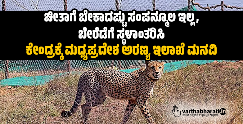 ಚೀತಾಗೆ ಬೇಕಾದಷ್ಟು ಸಂಪನ್ಮೂಲ ಇಲ್ಲ, ಬೇರೆಡೆಗೆ ಸ್ಥಳಾಂತರಿಸಿ: ಕೇಂದ್ರಕ್ಕೆ ಮಧ್ಯಪ್ರದೇಶ ಅರಣ್ಯ ಇಲಾಖೆ ಮನವಿ