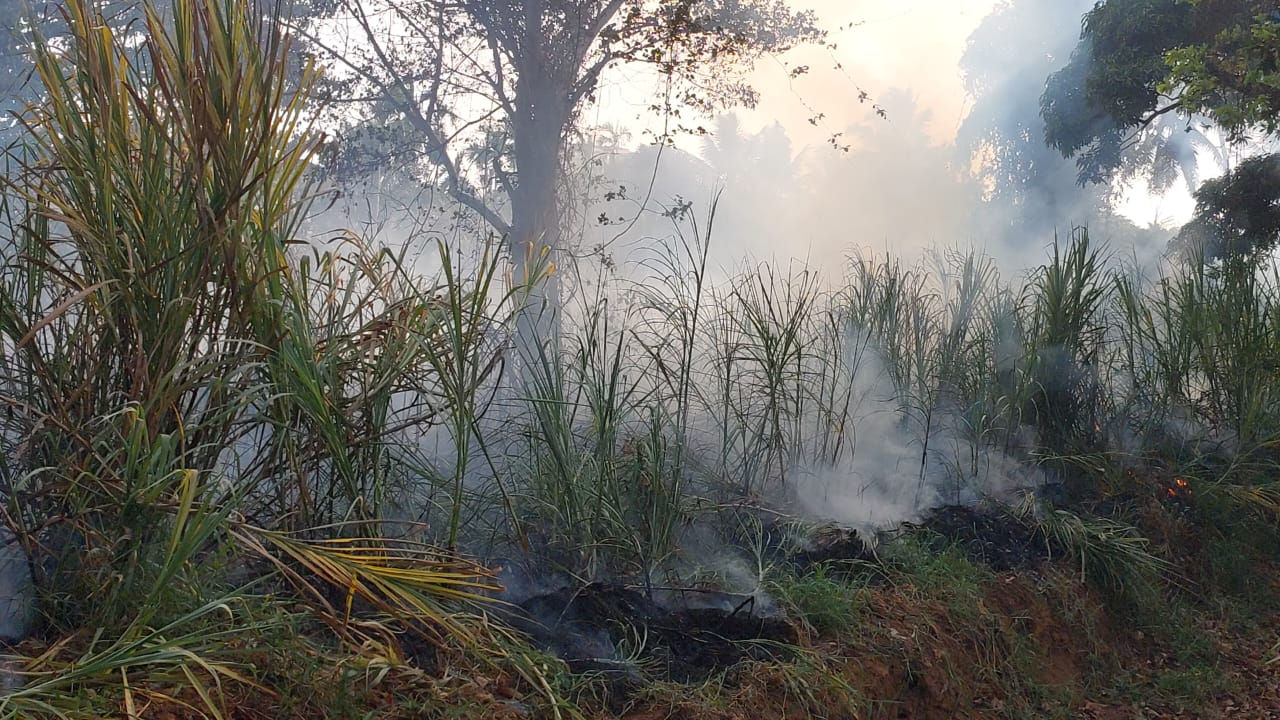 ಉಡುಪಿ : ನಿಟ್ಟೂರು ಪರಿಸರದ ಗದ್ದೆಯಲ್ಲಿ ಭಾರೀ ಬೆಂಕಿ