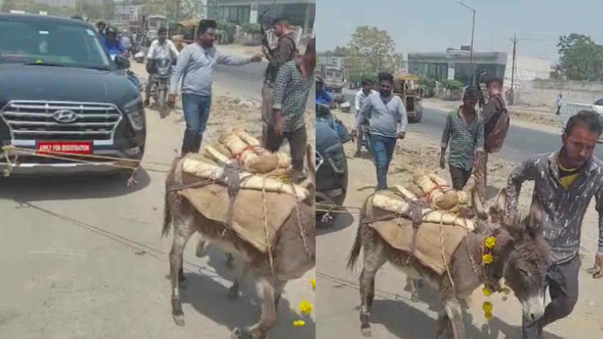 ನಿಷ್ಕ್ರಿಯ ಕಾರನ್ನು ಕತ್ತೆ ಮೂಲಕ ಎಳೆಯಿಸಿದ ಉದಯಪುರ ವ್ಯಕ್ತಿ: ಸಾಮಾಜಿಕ ತಾಣದಲ್ಲಿ ಆಕ್ರೋಶ