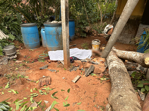 ಕೊಕ್ಕಡ: ಮರದ ಕೊಂಬೆ ಮೈಮೇಲೆ ಬಿದ್ದು ಮಹಿಳೆ ಮೃತ್ಯು