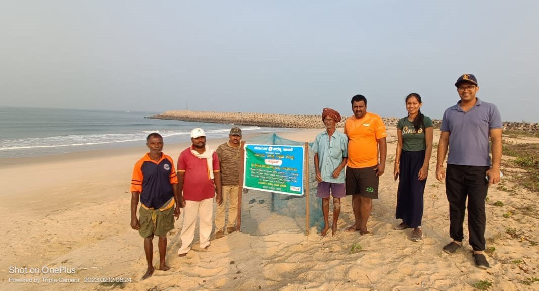 ​ಕುಂದಾಪುರ: ​ಮೂರು ತಿಂಗಳಲ್ಲಿ ಸಮುದ್ರ ಸೇರಿದ 979 ಕಡಲಾಮೆ ಮರಿಗಳು!