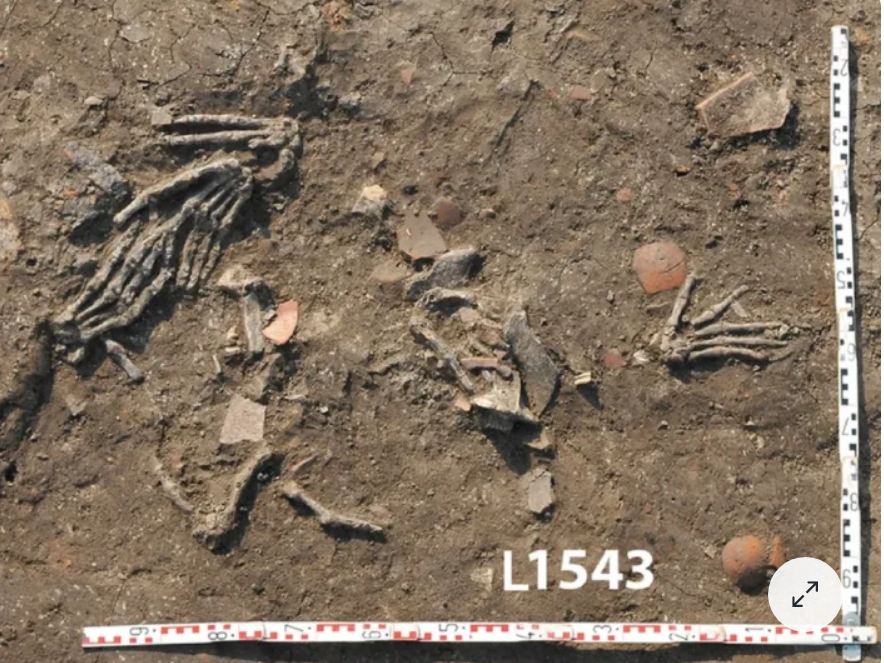 ಈಜಿಪ್ಟ್: ಪುರಾತನ ಕಾಲದ ಅರಮನೆಯ ಬಳಿ ಮಣ್ಣಿನಡಿ ಹಲವು ಕತ್ತರಿಸಿದ್ದ ಕೈಗಳು ಪತ್ತೆ