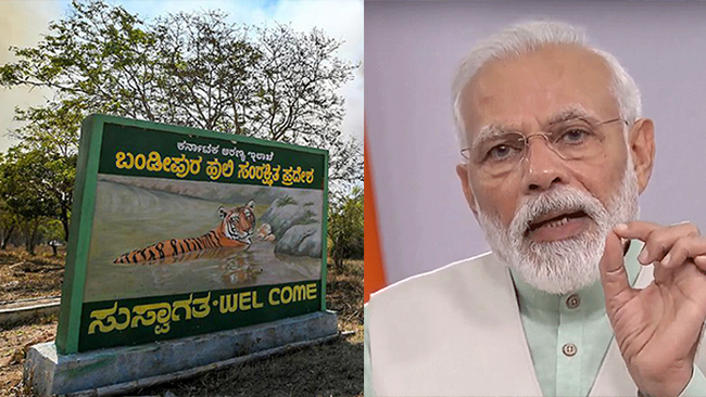 ಬಂಡೀಪುರ ಹುಲಿ ಸಂರಕ್ಷಿತ ಪ್ರದೇಶಕ್ಕೆ ಪ್ರಧಾನಿ ಮೋದಿ ಭೇಟಿ ಹಿನ್ನೆಲೆ: ರಾಷ್ಟ್ರೀಯ ಹೆದ್ದಾರಿಯಲ್ಲಿ ಸಂಚಾರ ನಿರ್ಬಂಧ