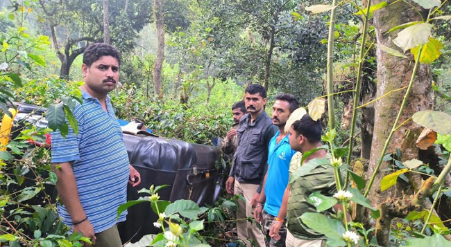 ಕಾಡುಕೋಣ ಢಿಕ್ಕಿ; ಪ್ರಪಾತಕ್ಕೆ ಬಿದ್ದ ಆಟೋ