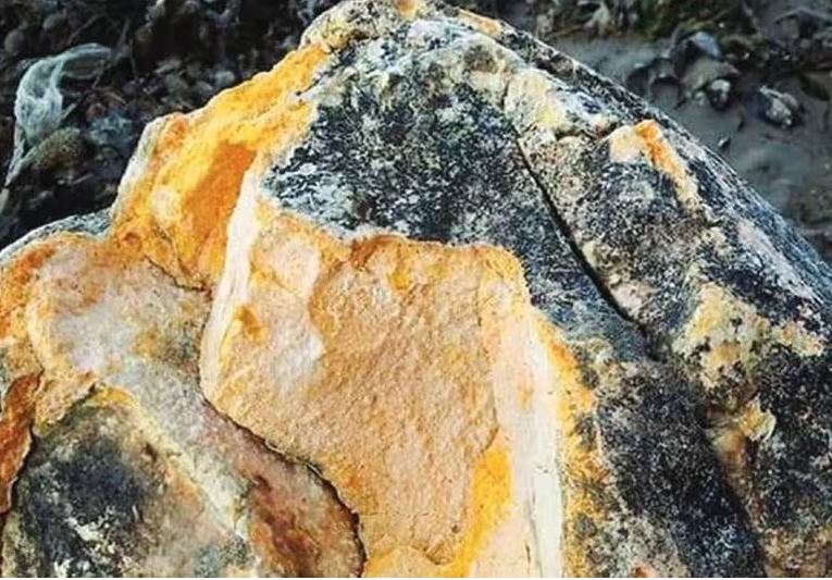 ಮೈಸೂರು | 25 ಕೋಟಿ ರೂ. ಮೌಲ್ಯದ ಅಂಬರ್ ಗ್ರೀಸ್ ವಶ: ಮೂವರ ಬಂಧನ