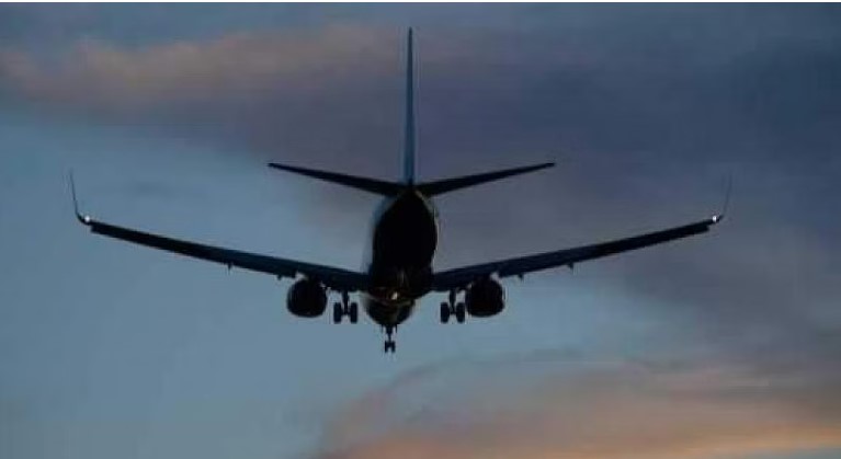 ನಾಗ್ಪುರ-ಮುಂಬೈ ವಿಮಾನದಲ್ಲಿ ಮಹಿಳೆಗೆ ಚೇಳು ಕಡಿತ