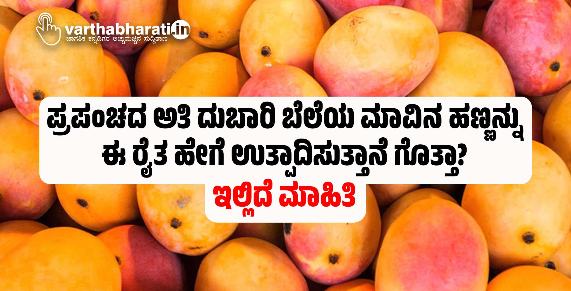 ಪ್ರಪಂಚದ ಅತಿ ದುಬಾರಿ ಬೆಲೆಯ ಮಾವಿನ ಹಣ್ಣನ್ನು ಈ ರೈತ ಹೇಗೆ ಉತ್ಪಾದಿಸುತ್ತಾನೆ ಗೊತ್ತಾ? ಇಲ್ಲಿದೆ ಮಾಹಿತಿ