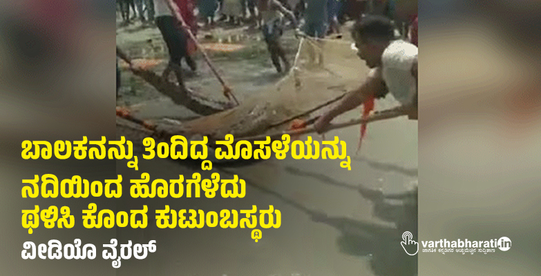 ಬಾಲಕನನ್ನು ತಿಂದಿದ್ದ ಮೊಸಳೆಯನ್ನು ನದಿಯಿಂದ ಹೊರಗೆಳೆದು ಥಳಿಸಿ ಕೊಂದ ಕುಟುಂಬಸ್ಥರು: ವೀಡಿಯೊ ವೈರಲ್