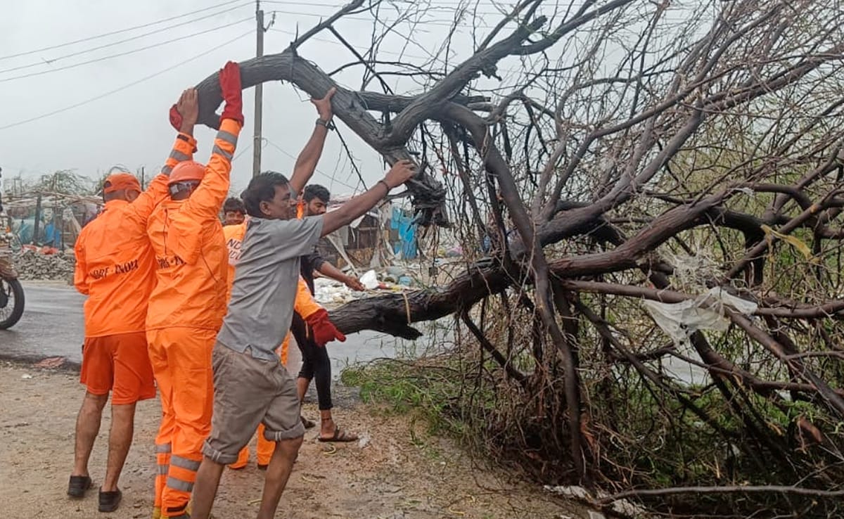 ಗುಜರಾತ್ ಚಂಡಮಾರುತ: ಬಿರುಗಾಳಿಗೆ ಉರುಳಿದ ಮರ, ವಿದ್ಯುತ್ ಕಂಬಗಳು, 940 ಹಳ್ಳಿಗಳಿಗೆ ವಿದ್ಯುತ್ ಸರಬರಾಜು ಸ್ಥಗಿತ