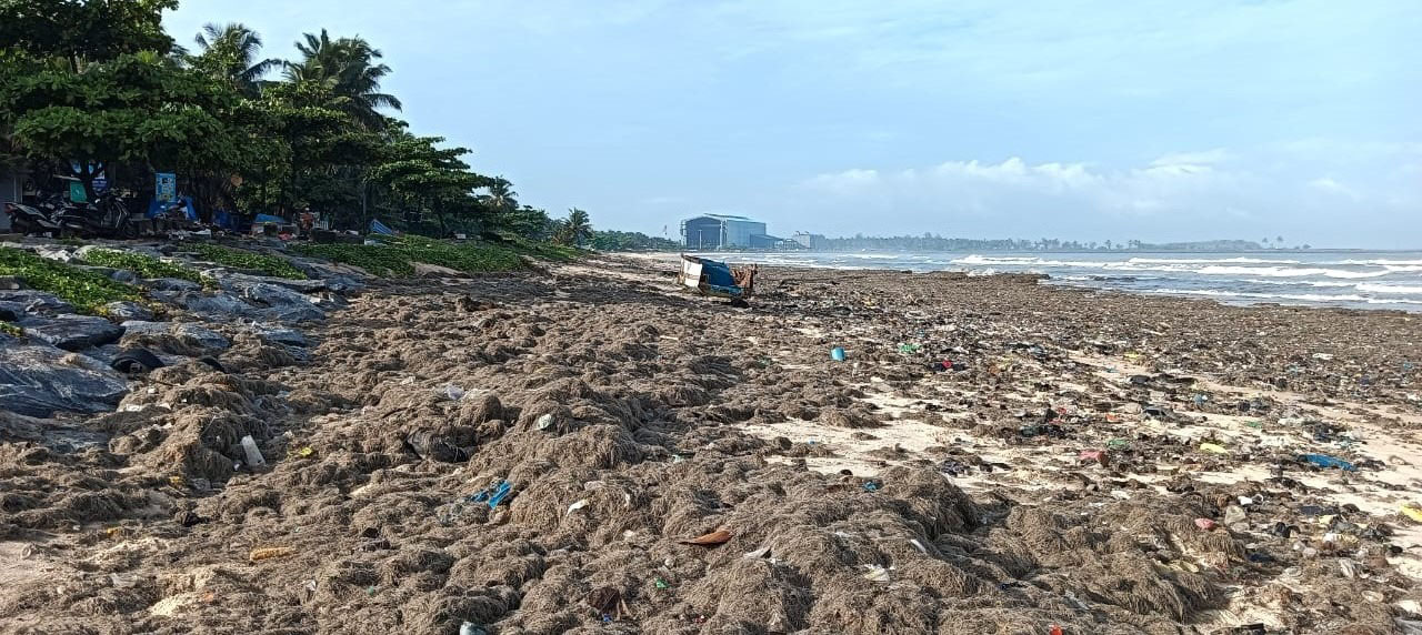 ಮಲ್ಪೆ ಸಮುದ್ರ ತೀರದಲ್ಲಿ ಪಾಚಿ ತ್ಯಾಜ್ಯಗಳ ರಾಶಿ