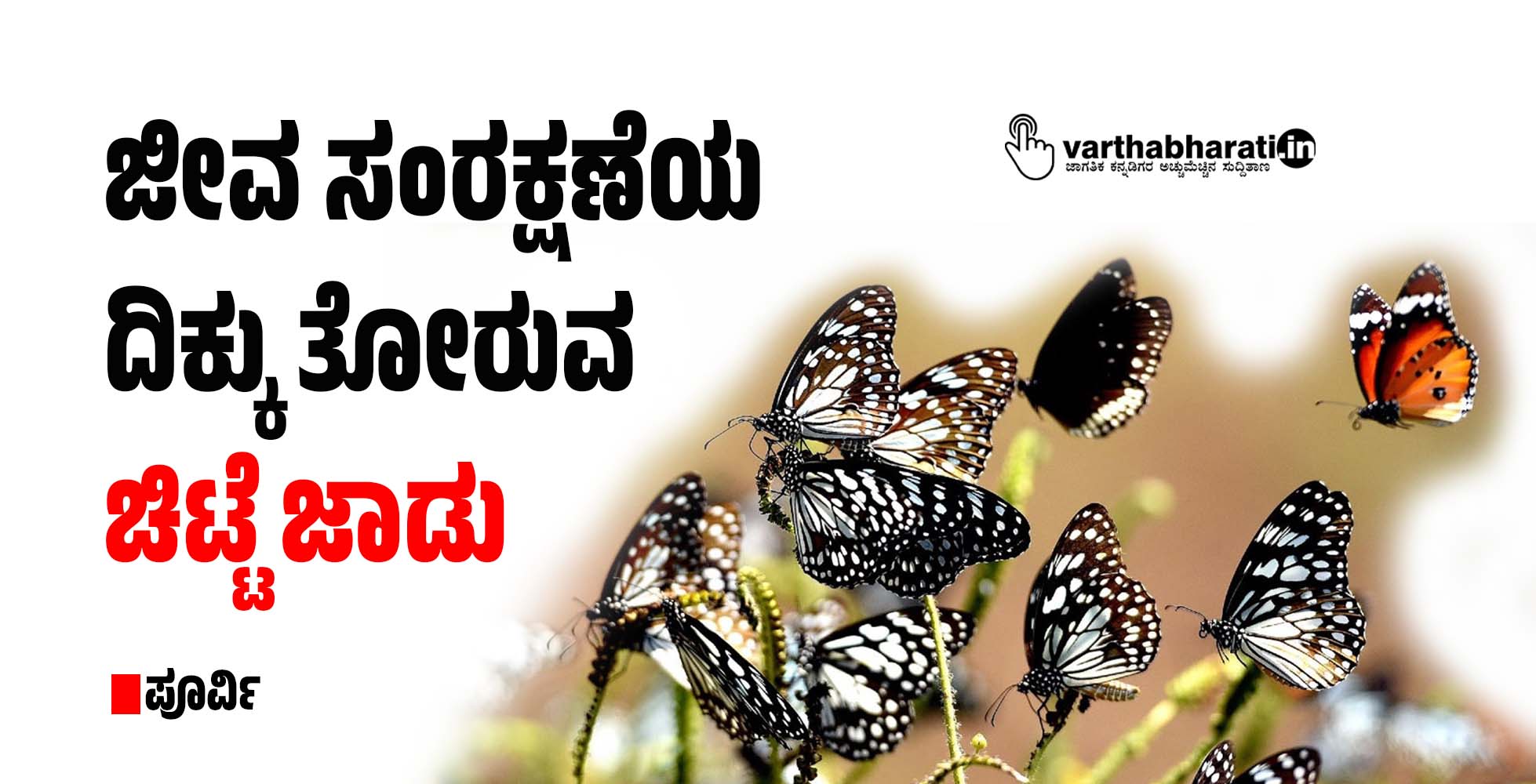 ಜೀವ ಸಂರಕ್ಷಣೆಯ ದಿಕ್ಕು ತೋರುವ ಚಿಟ್ಟೆ ಜಾಡು
